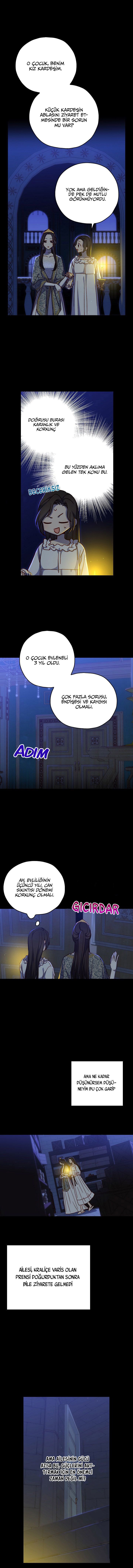 Sayfa 5